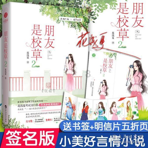 救援有趣的狮子