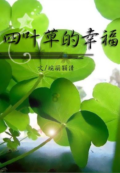海岛大亨5