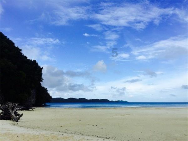 引领行业智能化转型 北京红星、牛栏山酒厂、燕京啤酒获“北京十大商业品牌匠心智造品牌”荣誉