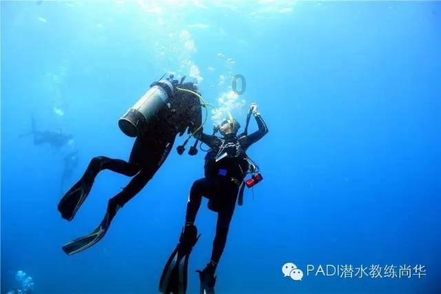 逗小猴开心系列207
