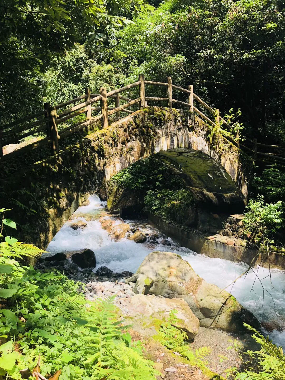 没了人性最可怕 他们没有底线