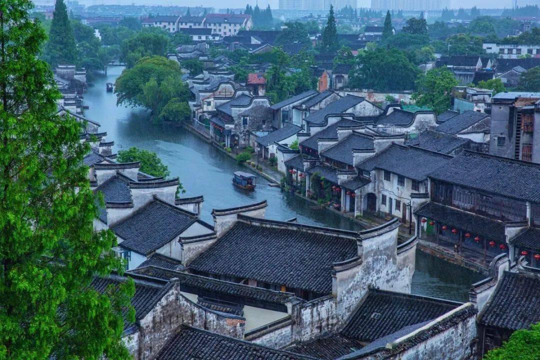 细胞分裂5