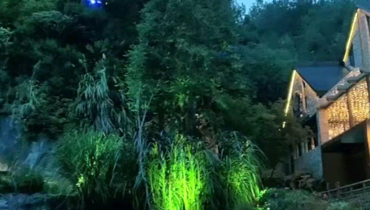 努力拼搏什么意思?游戏画面